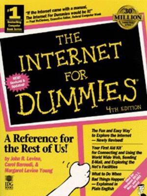 The Internet For Dummies by John R. Levine