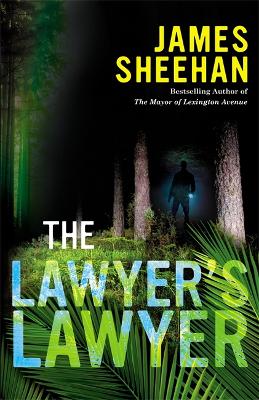 Lawyer's Lawyer book