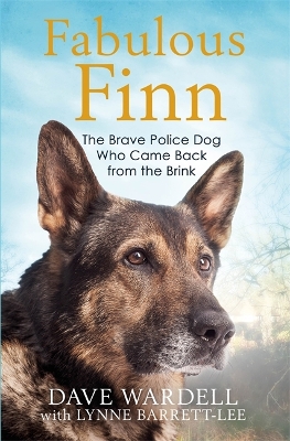 Fabulous Finn book