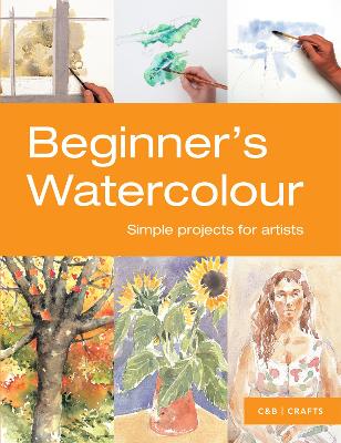 Beginner's Watercolour book