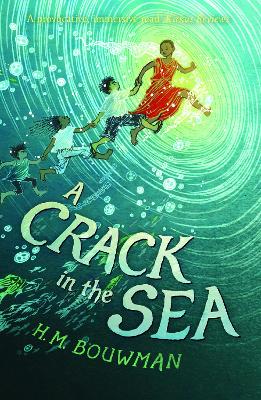A Crack in the Sea book