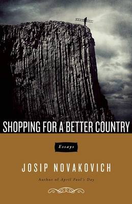 Shopping For A Better Country book