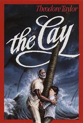 The Cay book