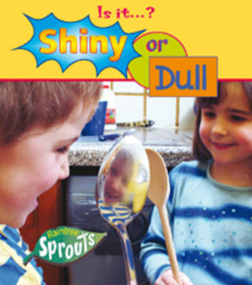 Shiny or Dull book