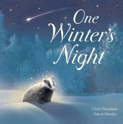 One Winter's Night book