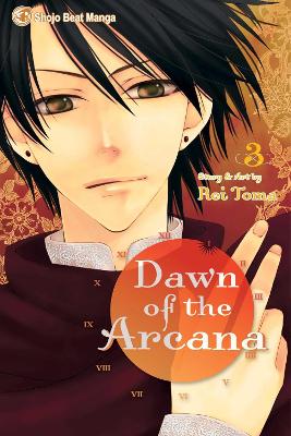 Dawn of the Arcana, Vol. 3 book