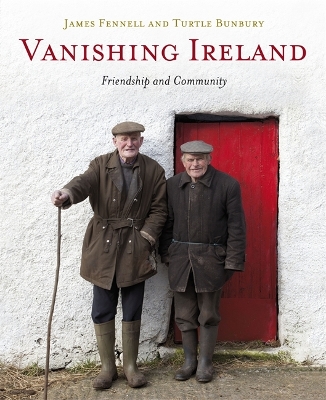 Vanishing Ireland book