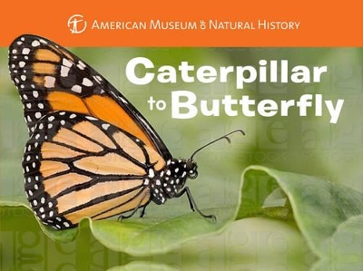 Caterpillar to Butterfly book