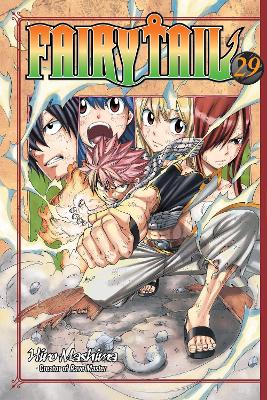 Fairy Tail 29 book