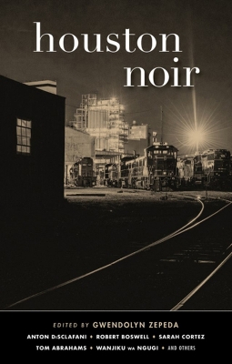 Houston Noir book