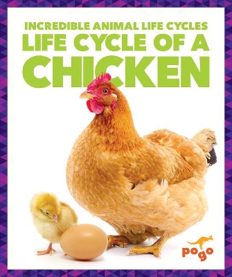 Life Cycle of a Chicken book