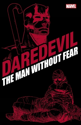 Daredevil: The Man Without Fear book