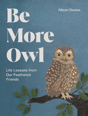 Be More Owl: Life Lessons from Our Feathered Friends book