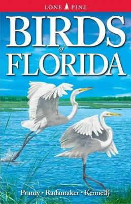 Birds of Florida book