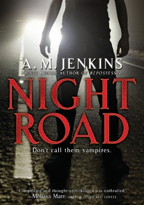 Night Road book
