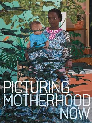 Picturing Motherhood Now book