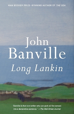 Long Lankin book