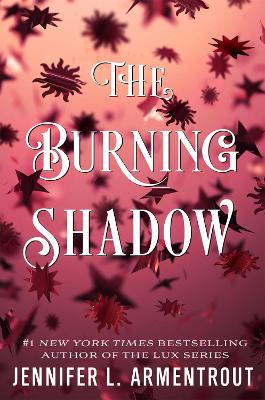 The Burning Shadow book