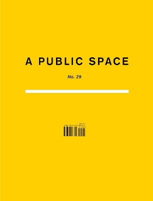 A Public Space No. 29 book