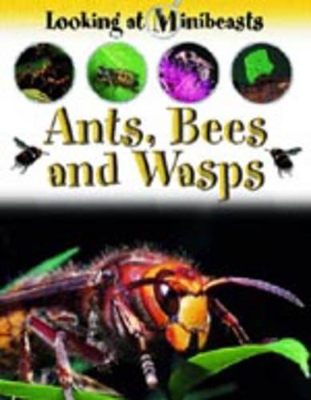 MINIBEASTS ANTS BEES & WASPS book