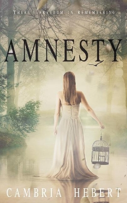 Amnesty by Cambria Hebert