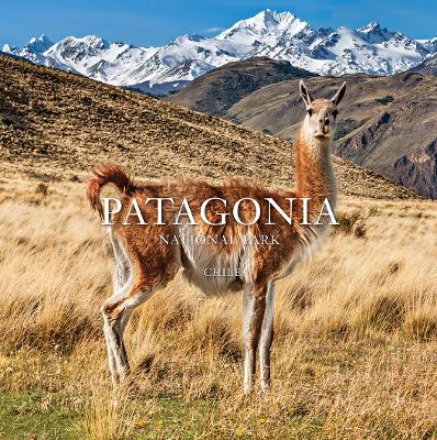 Patagonia National Park: Chile: Chile book