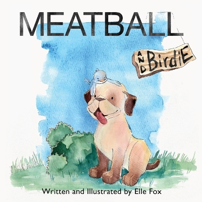 Meatball and Birdie book