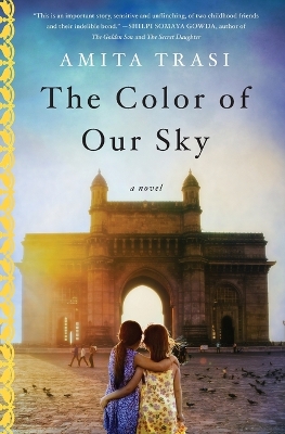 Color of Our Sky book