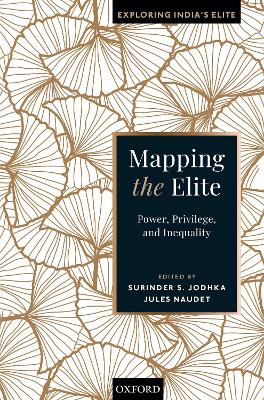 Mapping the Elite: Power, Privilege, and Inequality book