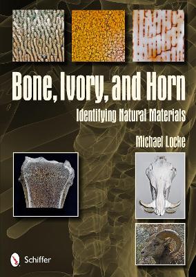 Bone, Ivory, and Horn book