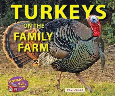 Turkeys on the Family Farm by Chana Stiefel