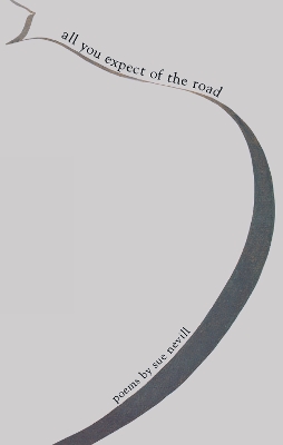 All You Expect of the Road book