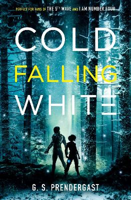 Cold Falling White by Gabrielle Prendergast