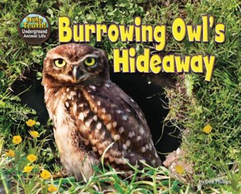 Burrowing Owl's Hideaway book