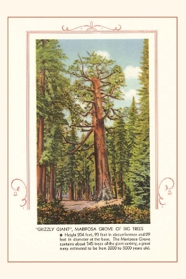 The Vintage Journal Grizzly giant, Mariposa Big Trees book