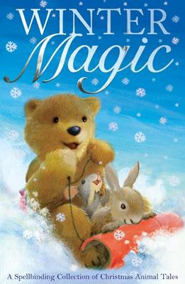 Winter Magic book