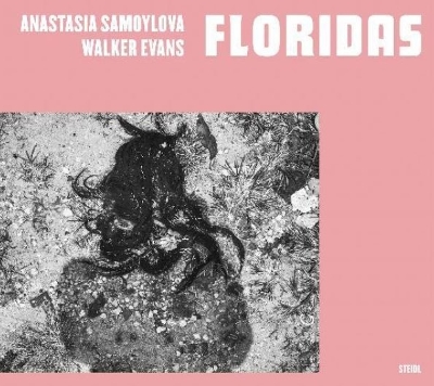 Anastasia Samoylova, Walker Evans: Floridas book