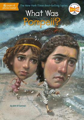 What Was Pompeii? book