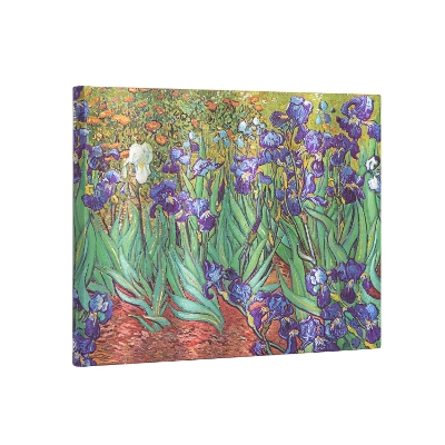 Van Gogh’s Irises Unlined Guest Book book