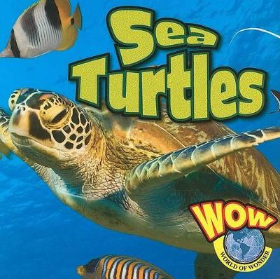Sea Turtles book