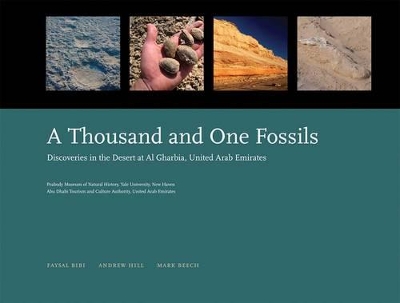 Thousand and One Fossils book