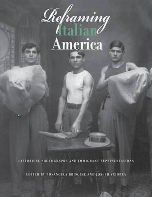 Reframing Italian America book