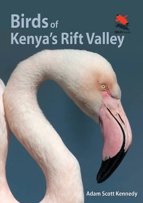 Birds of Kenya's Rift Valley book