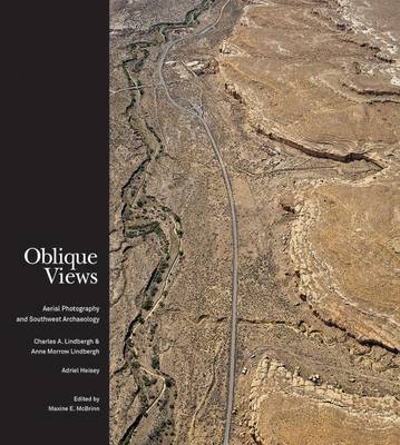 Oblique Views book