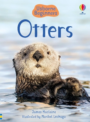 Usborne Beginners: Otters book