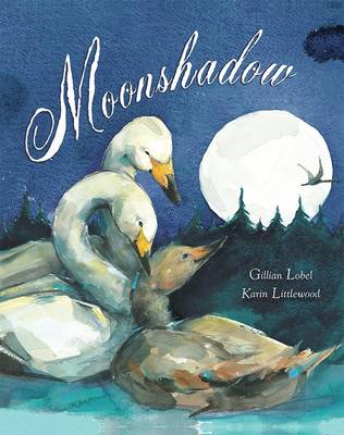 Moonshadow book
