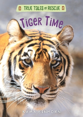 True Tales of Rescue: Tiger Time book