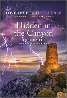 Hidden in the Canyon book