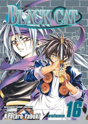 Black Cat, Vol. 16 book