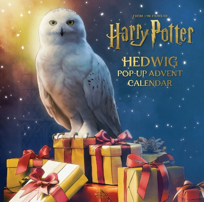 Harry Potter: Hedwig Pop-up Advent Calendar book